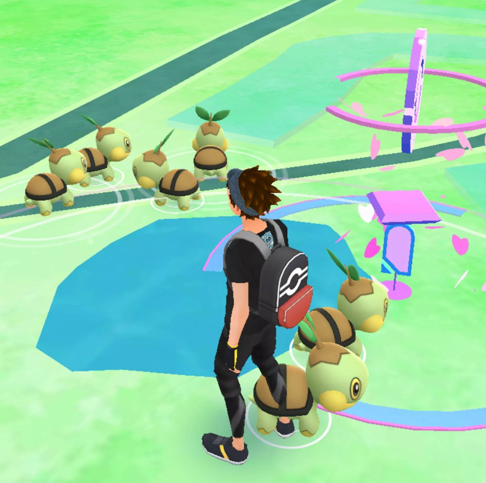 turtwig